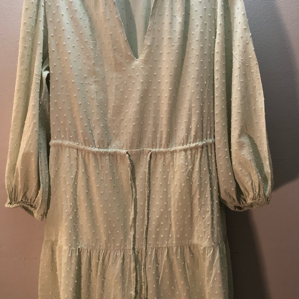 a new day Light Green Long Sleeve Flocked Dress
